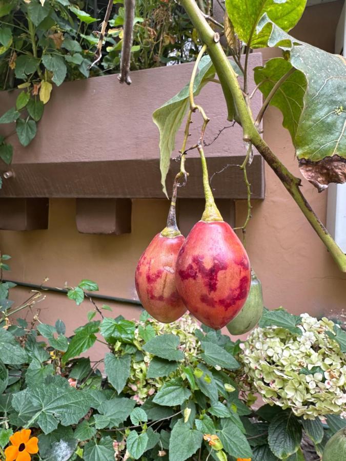 Campus Residencias Bed & Breakfast Quito Exterior photo